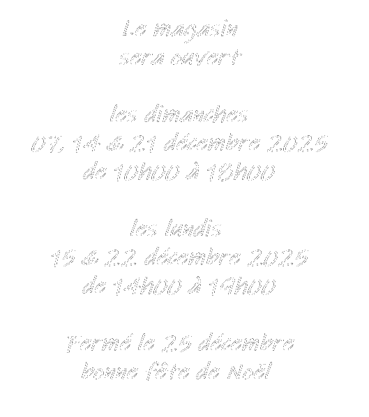 Annonce noel 2025